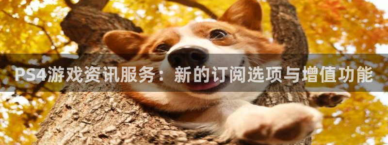 天美娱乐游戏：PS4游戏资讯服务：新的订阅选项与增值功能