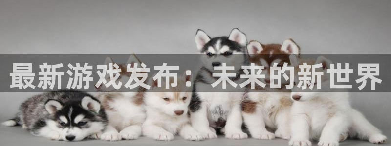 天美娱乐网页版地址：最新游戏发布：未来的新世界