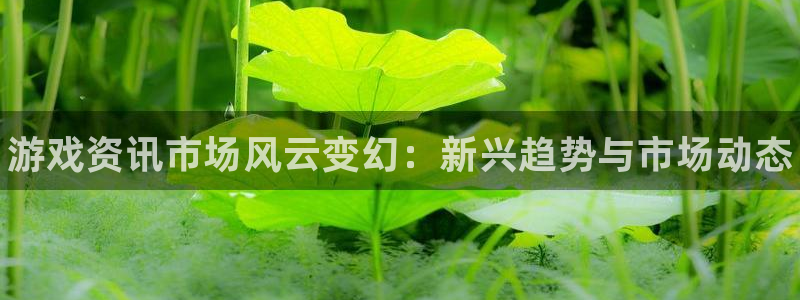 天美娱乐平台注册开户：游戏资讯市场风云变幻：新兴趋势与市场动