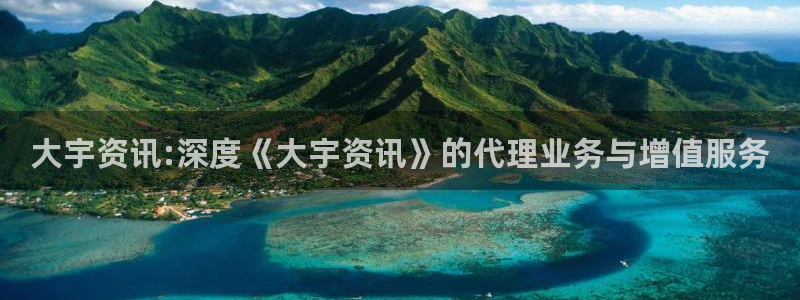 天美娱乐是什么：大宇资讯:深度《大宇资讯》的代理业务与增值服