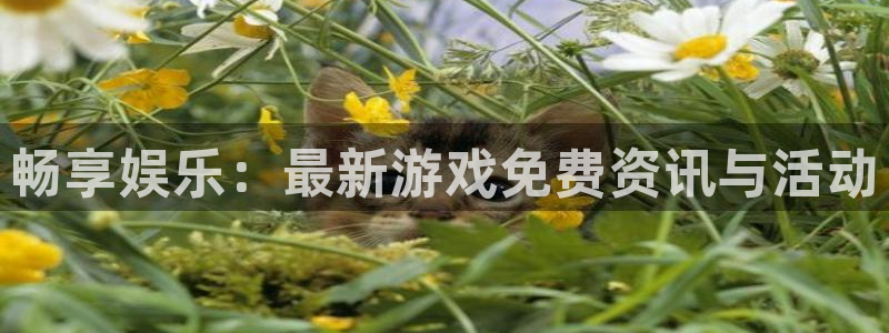 天美娱乐平台登录入口：畅享娱乐：最新游戏免费资讯与活动