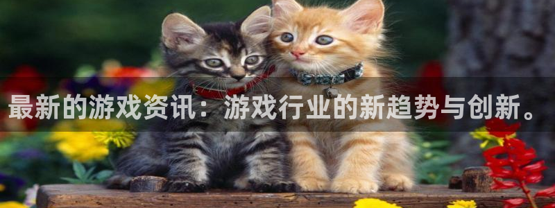 天美娱乐网页登录入口：最新的游戏资讯：游戏行业的新趋势与创新